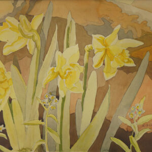 Edith Grace Coombs Daffodils