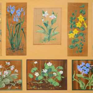 A J Casson Canadian School Wild Flower Silkscreen panel