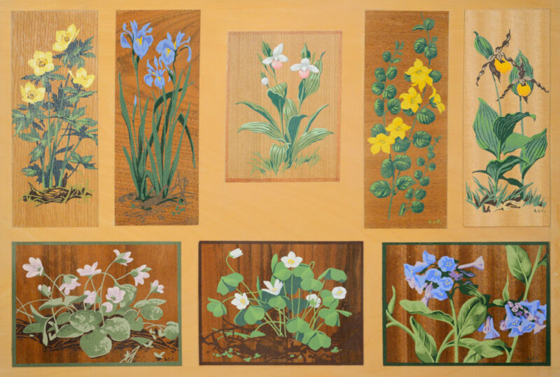 A J Casson Canadian School Wild Flower Silkscreen panel