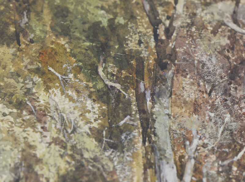 Detail: Superbly rendered Detail: Superbly rendered