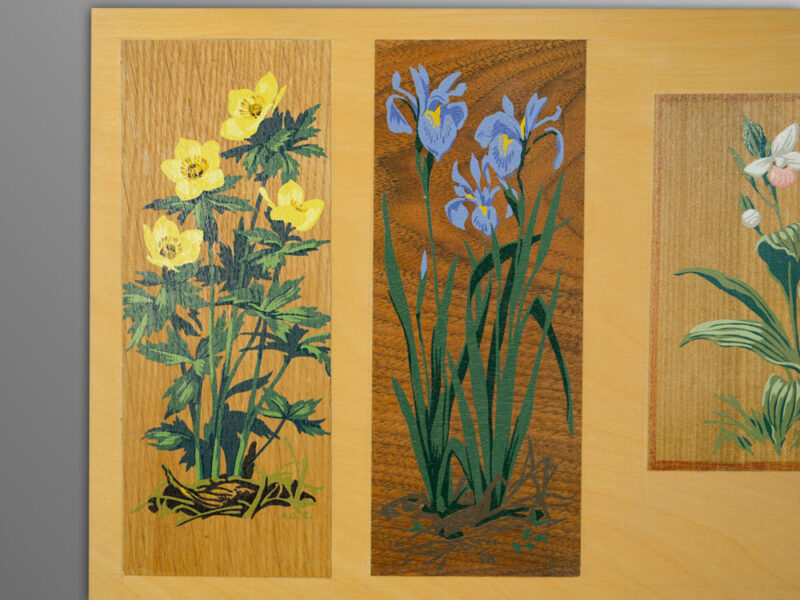AJ Casson silkscreens: yellow globe flowers, Blue Bearded Iris