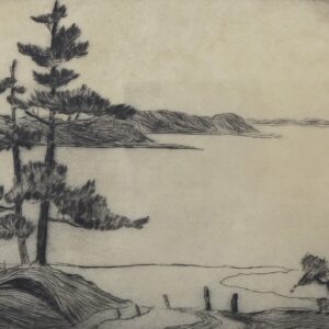 drypoint etching of jack pines at the edge of a lake