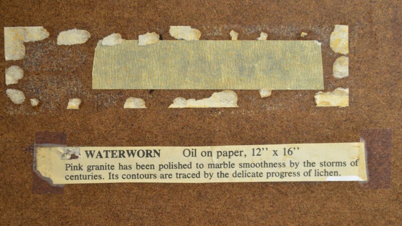 elizabeth harrison abstract painting (6)