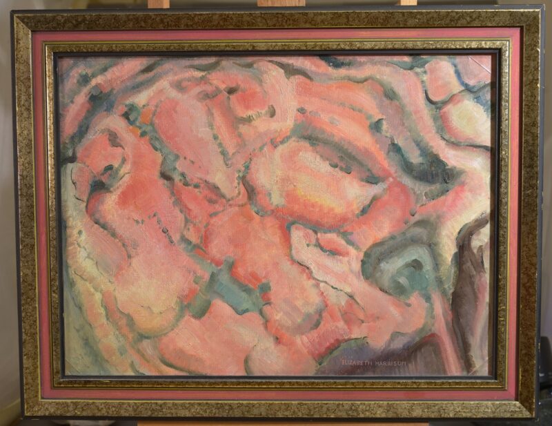 elizabeth harrison abstract painting