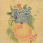 fruit theorem velvet (4)