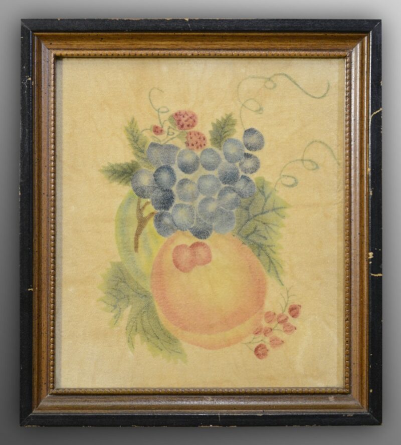 fruit theorem velvet
