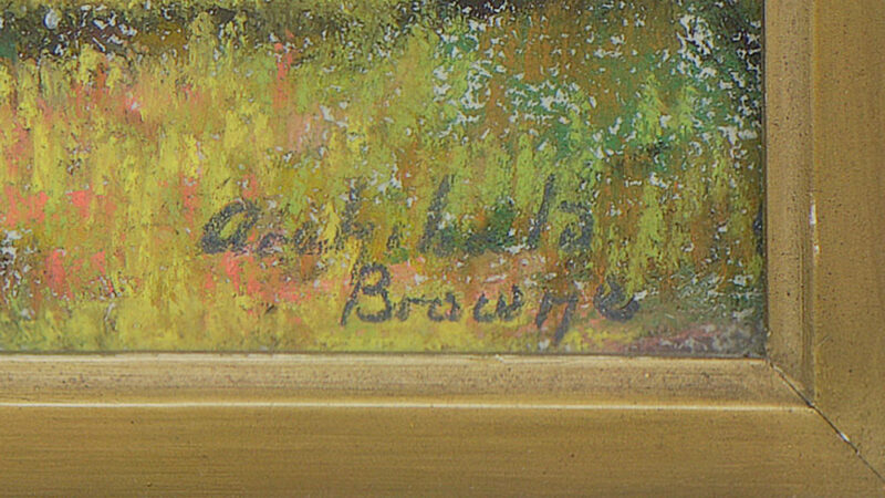 joseph archibald browne adirondacks (5)