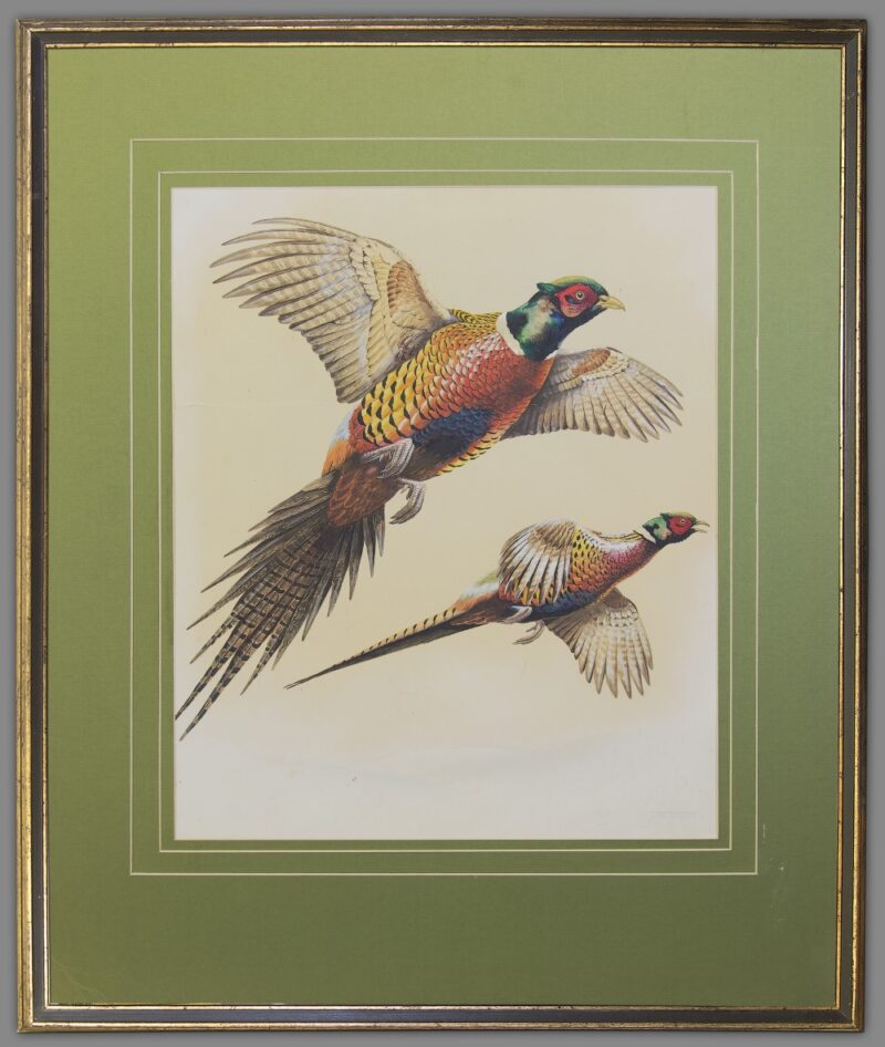 terence shortt watercolor pheasants 6