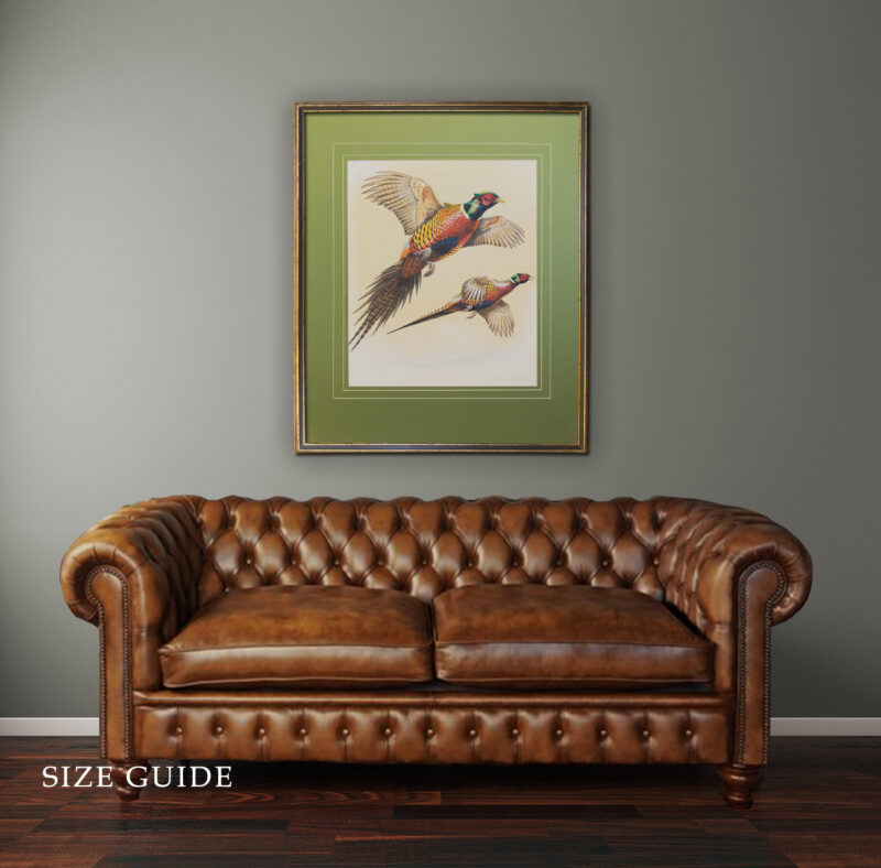 terence shortt watercolor pheasants 7