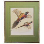 terence shortt watercolor pheasants white