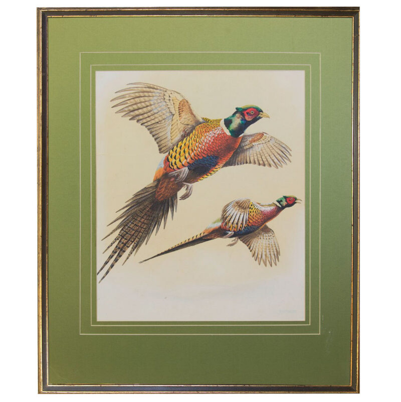 terence shortt watercolor pheasants white terence shortt watercolor pheasants white