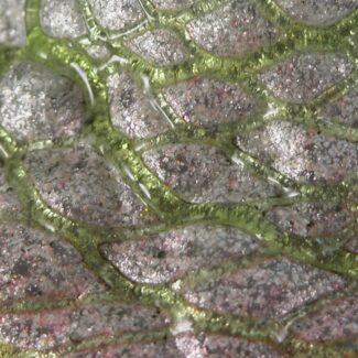 kralik silveria vase