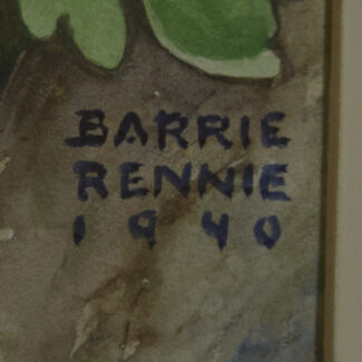 john barrie rennie western columbine watercolour (2)