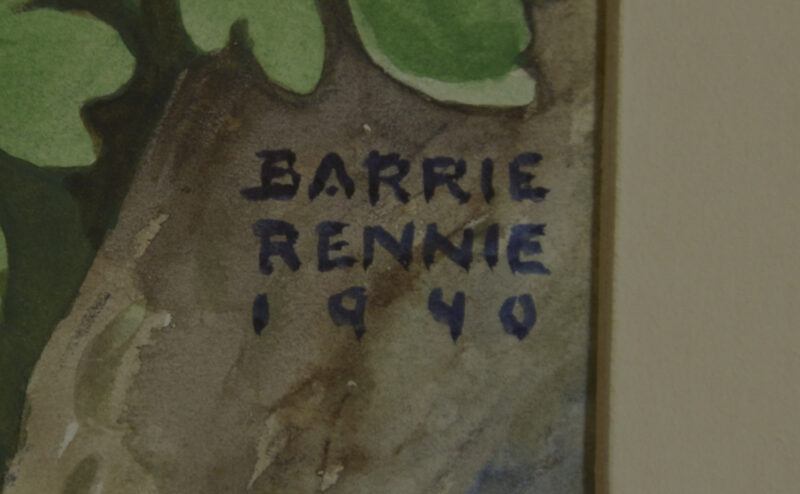 john barrie rennie western columbine watercolour (2) john barrie rennie western columbine watercolour (2)