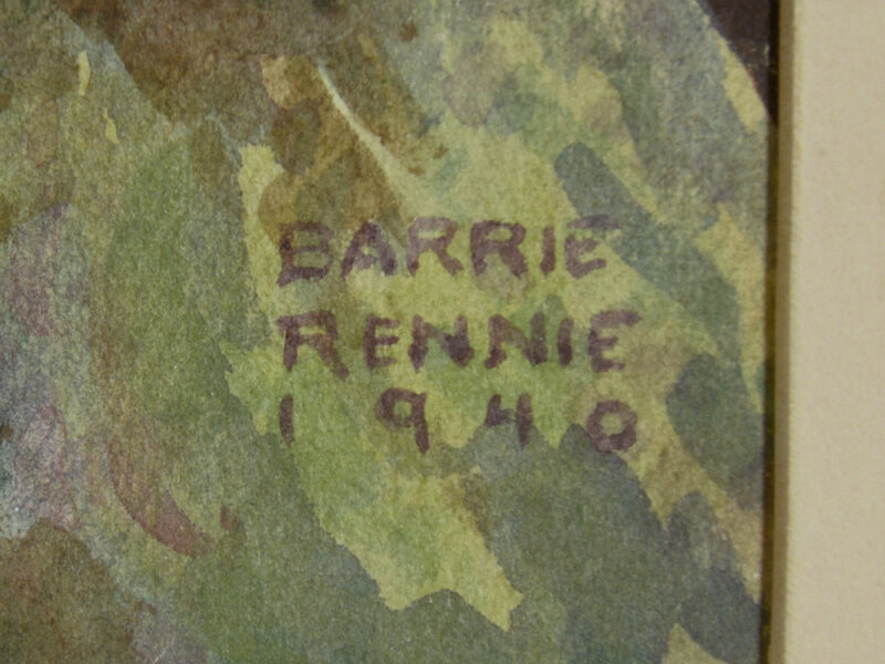 john barrie rennie wild rose watercolour (2)