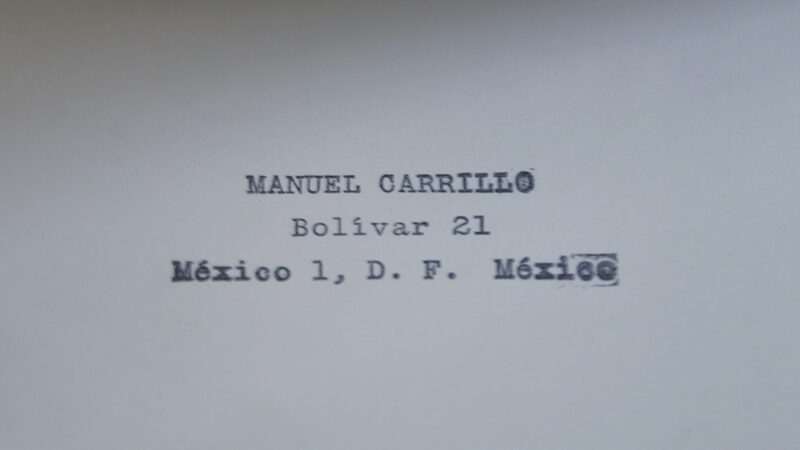 manuel carrillo michelangelos moses (3)