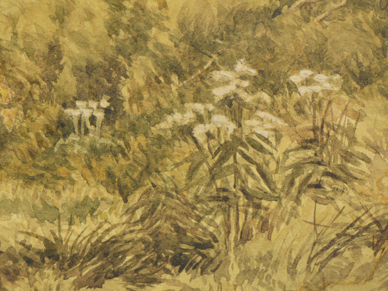 michael hannaford watercolor rosedale toronto 4