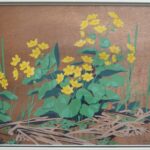 a j casson cowslip (2)