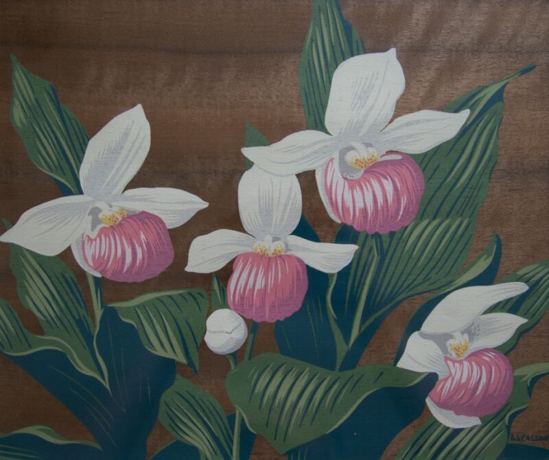 a j casson lady slippers (2)
