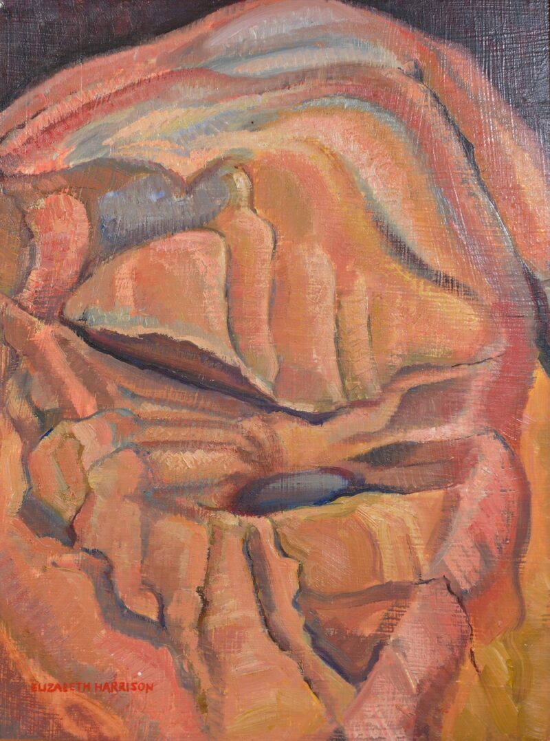 elizabeth harrison rock pool painting (8)
