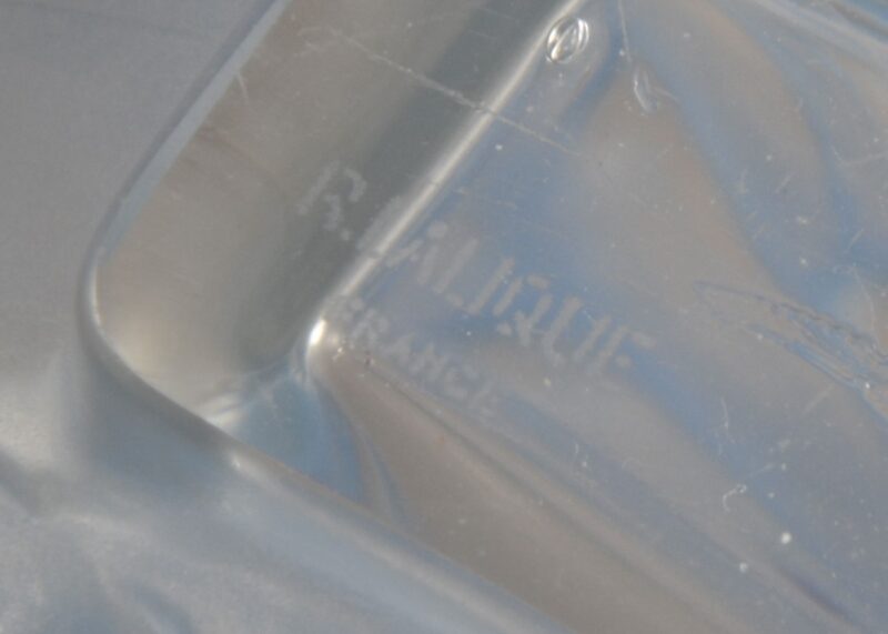 rene lalique dahlia cologne (8)