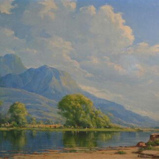 ricardo gomez campuzano savaa bogota (2)