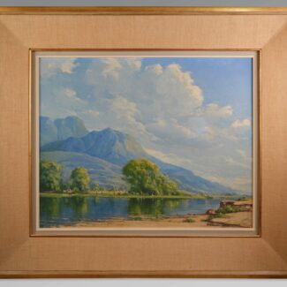 ricardo gomez campuzano savana bogota