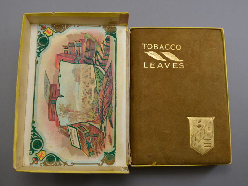 b tobacco insong and story