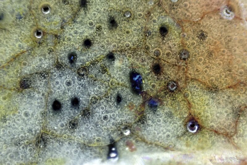 royal doulton charles noke chang bowl (8) royal doulton charles noke chang bowl (8)