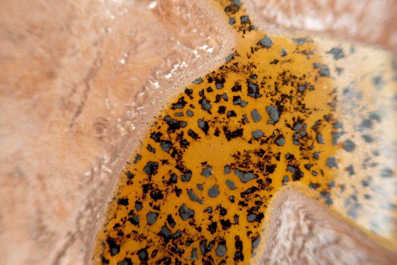 daum cameo vase rose thorn 7